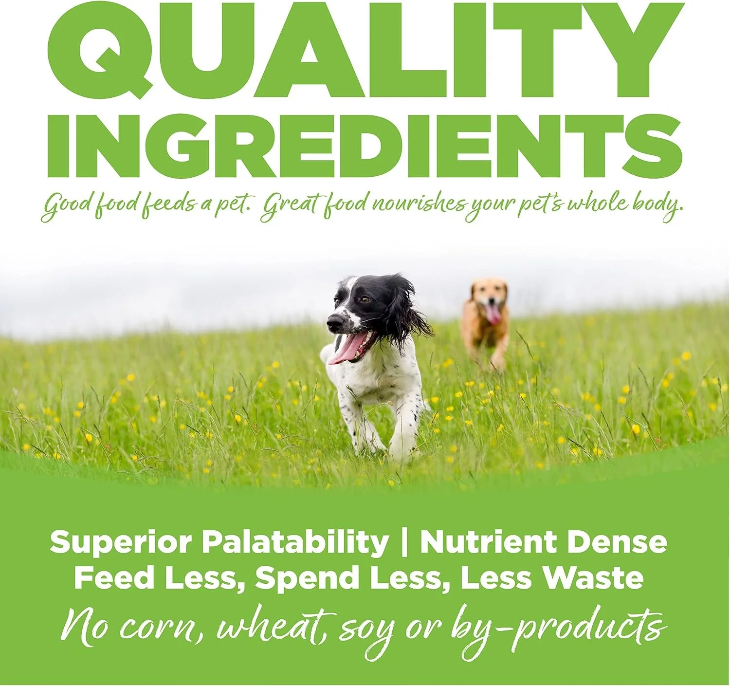 NutriSource Weight Managment 3rd Photo.jpg