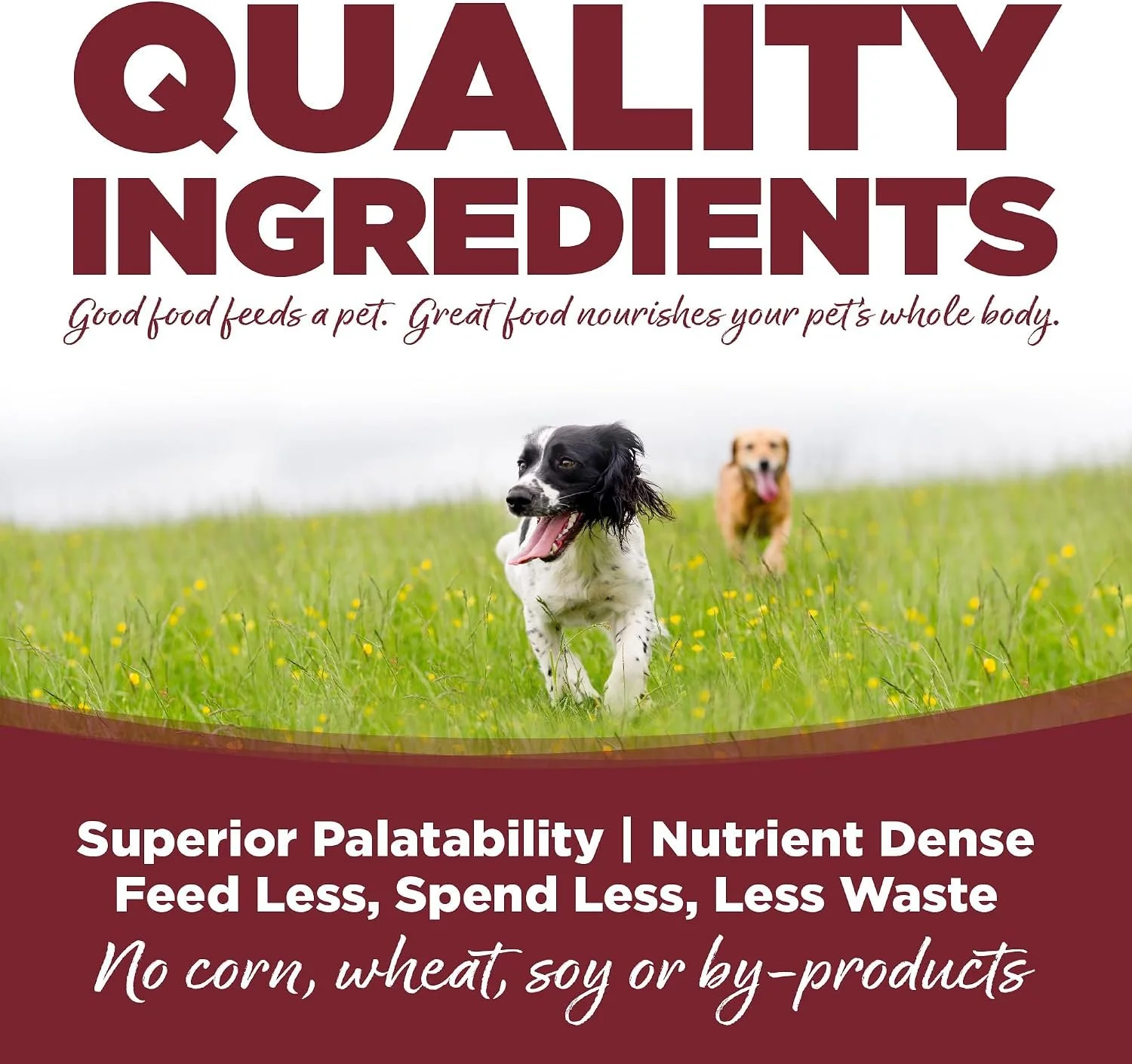 NutriSource Beef & Rice 3rd photo.jpg
