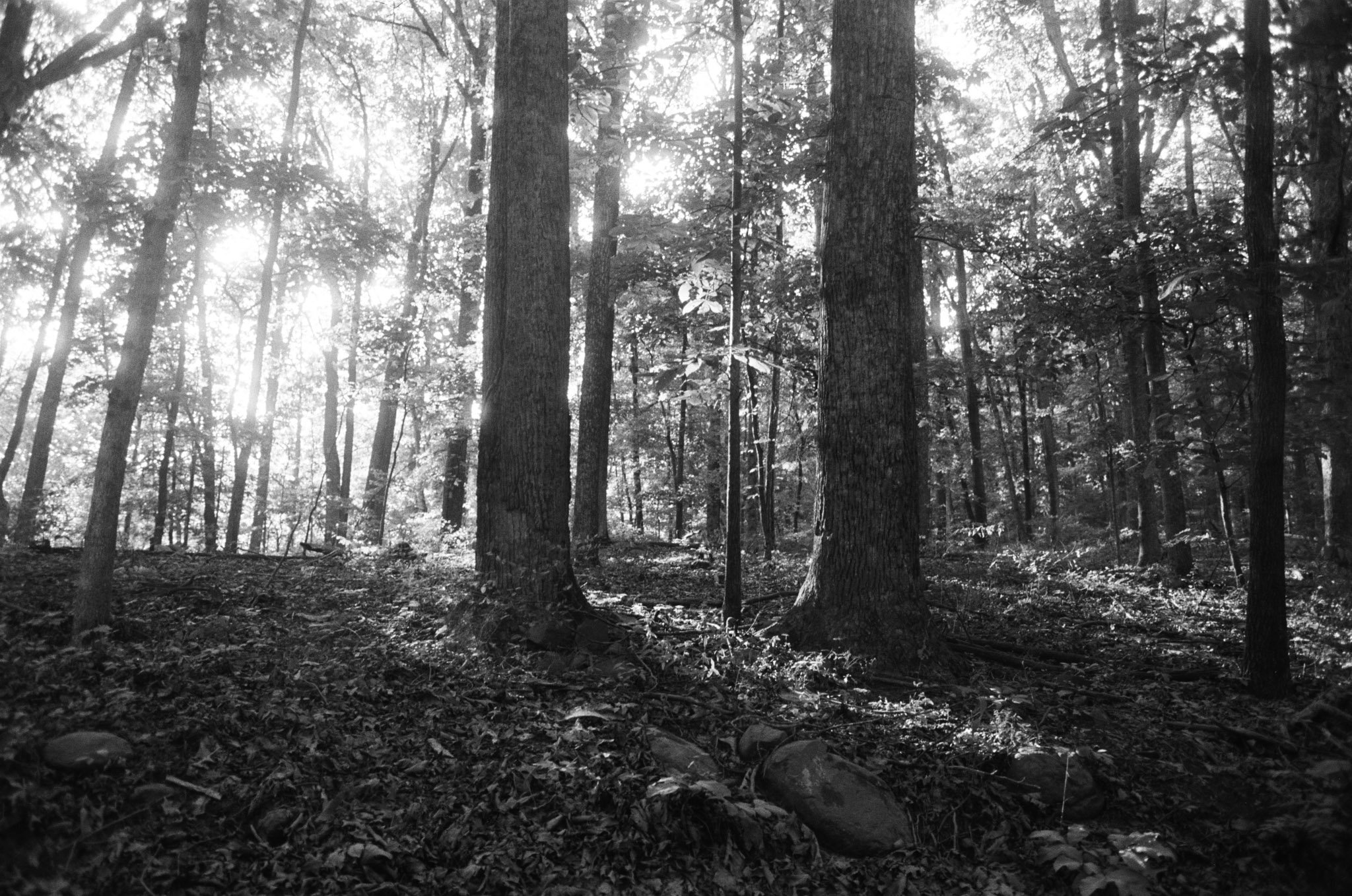 Untitled-684.jpg