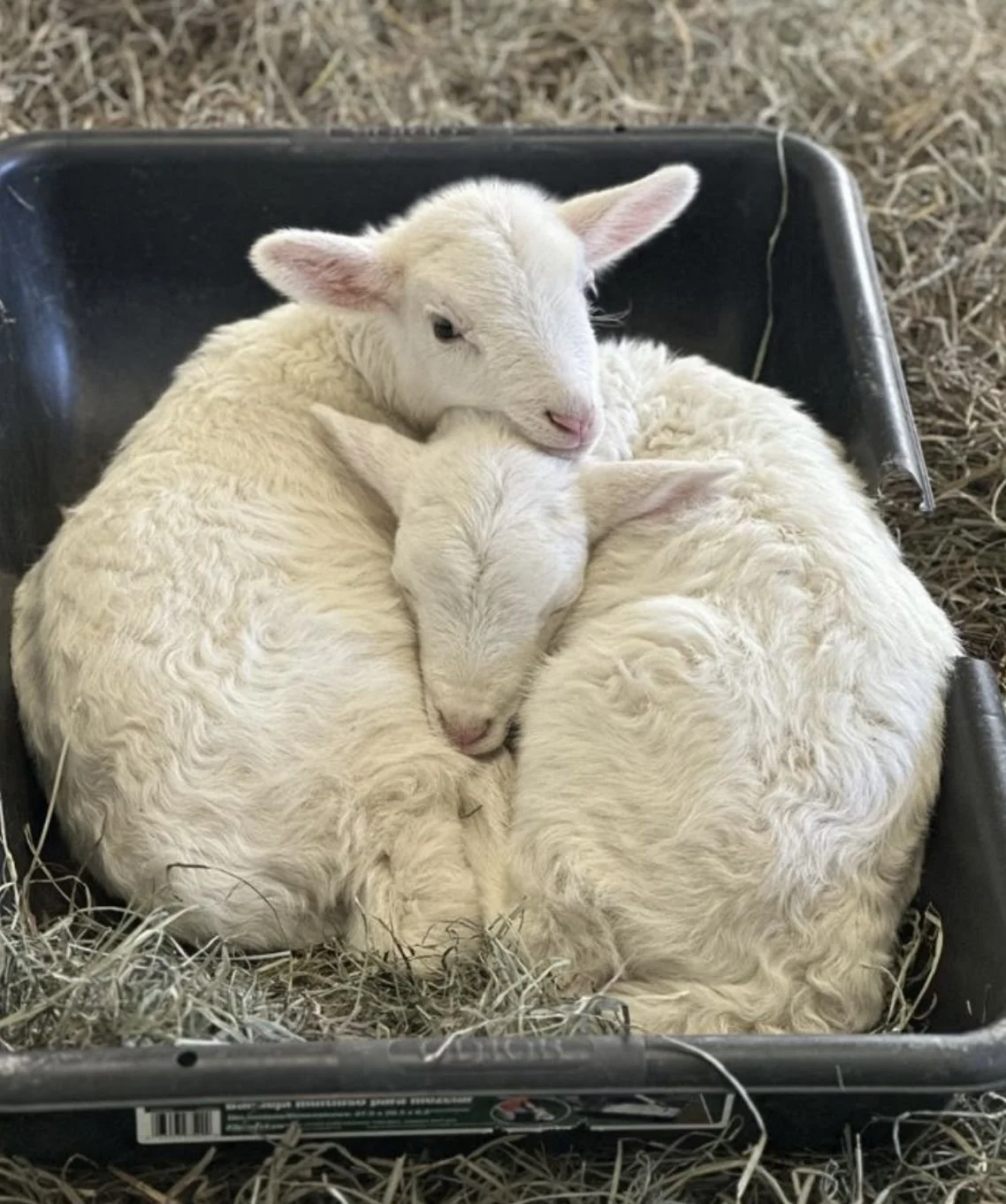 A love letter to The Cotswolds