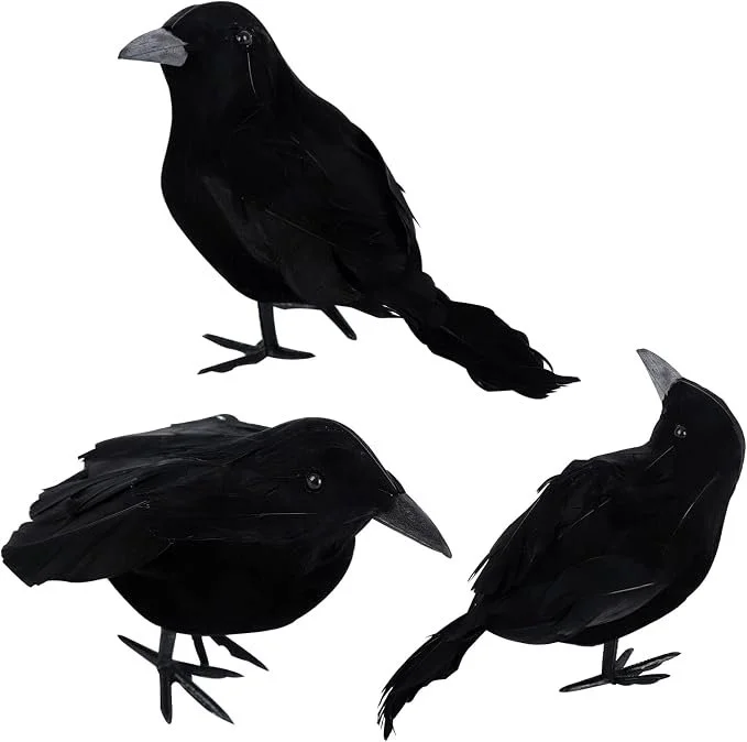 61MPlxmkgUL._AC_SX679_.jpg