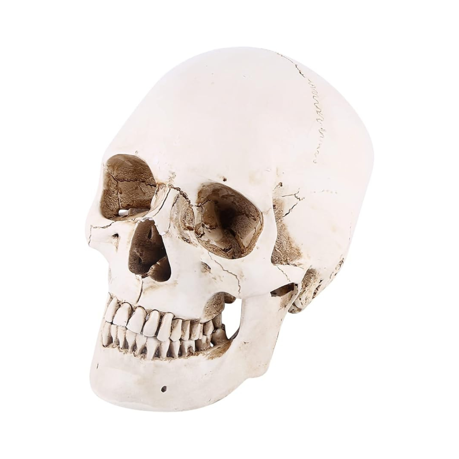 Untitled design (3).png