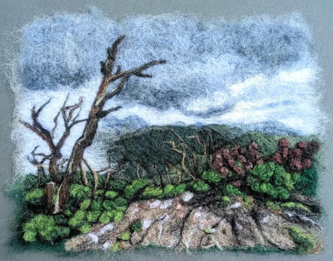 Fiber Art by Hannah Hall