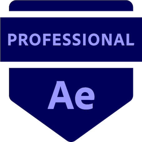 A badge with a dark blue background and light purple text that reads 'PROFESSIONAL' at the top and 'Ae' at the bottom.