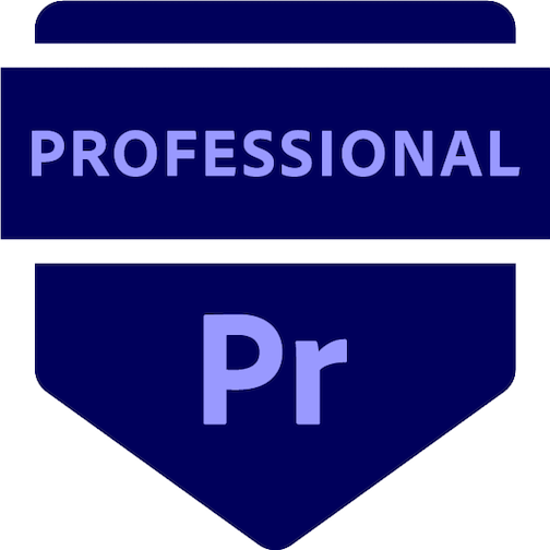 Design resembling an Adobe Premiere Pro logo with a dark blue badge and the words 'PROFESSIONAL' and 'Pr' in light purple.