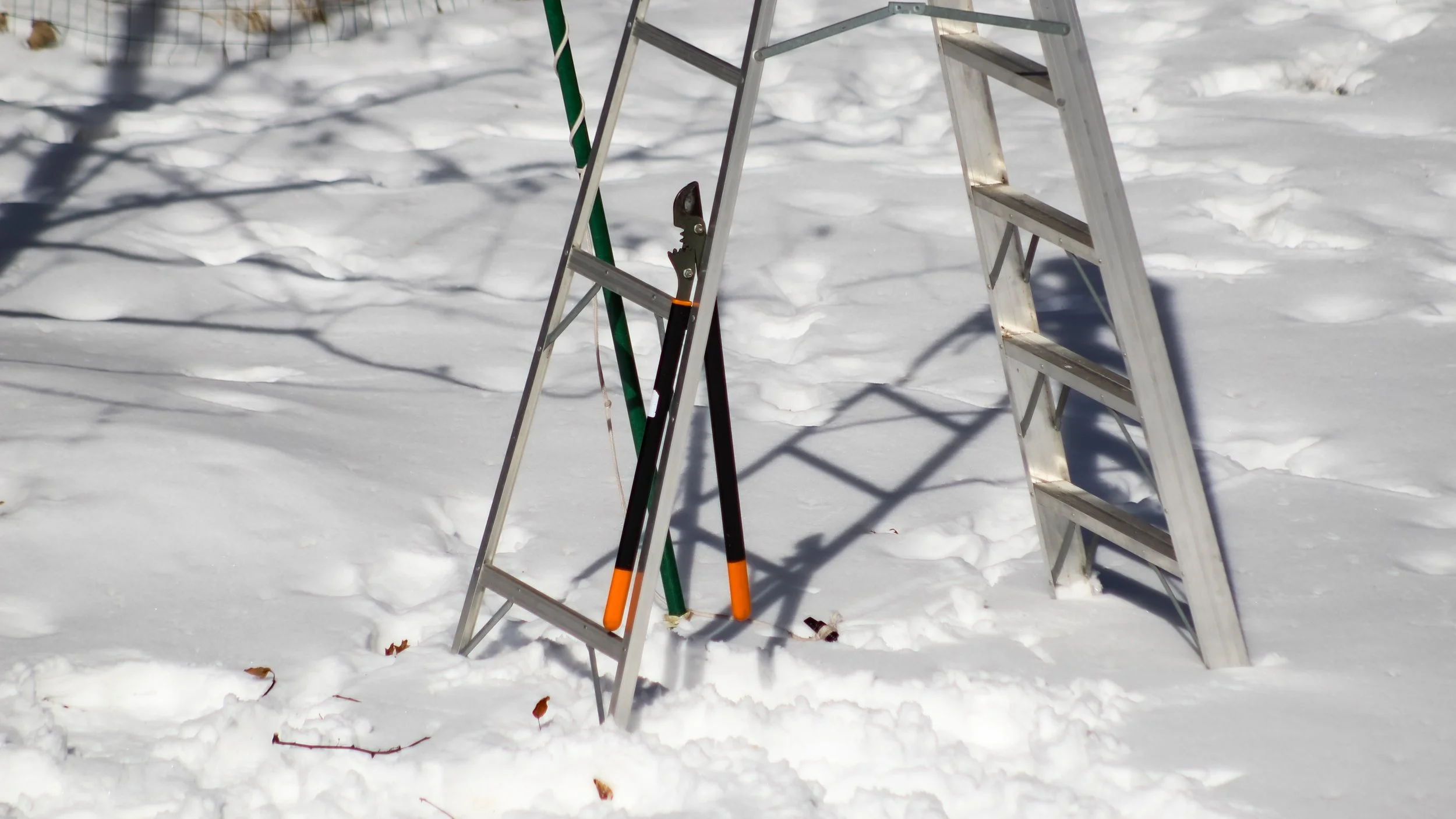 Ladder in the snow with a pair of trimmers propped against it