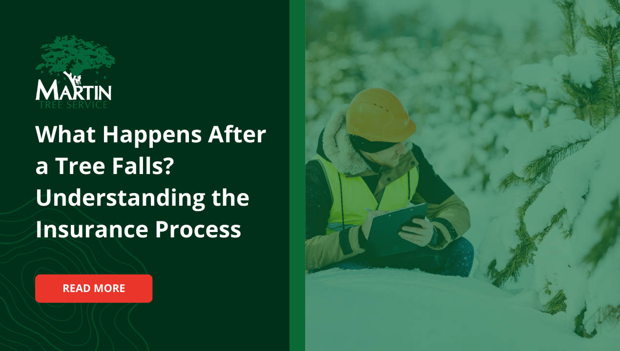 What Happens After a Tree Falls? Understanding the Insurance Process