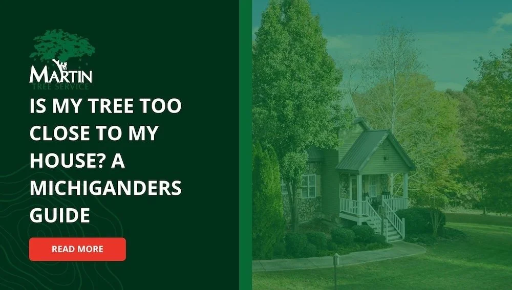 Is My Tree Too Close to My House? A Michigander’s Guide
