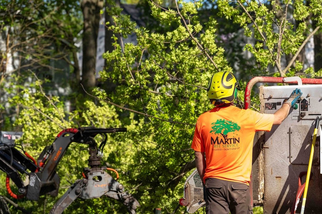 Worker in an orange shirt and helmet operating tree trimming equipment.