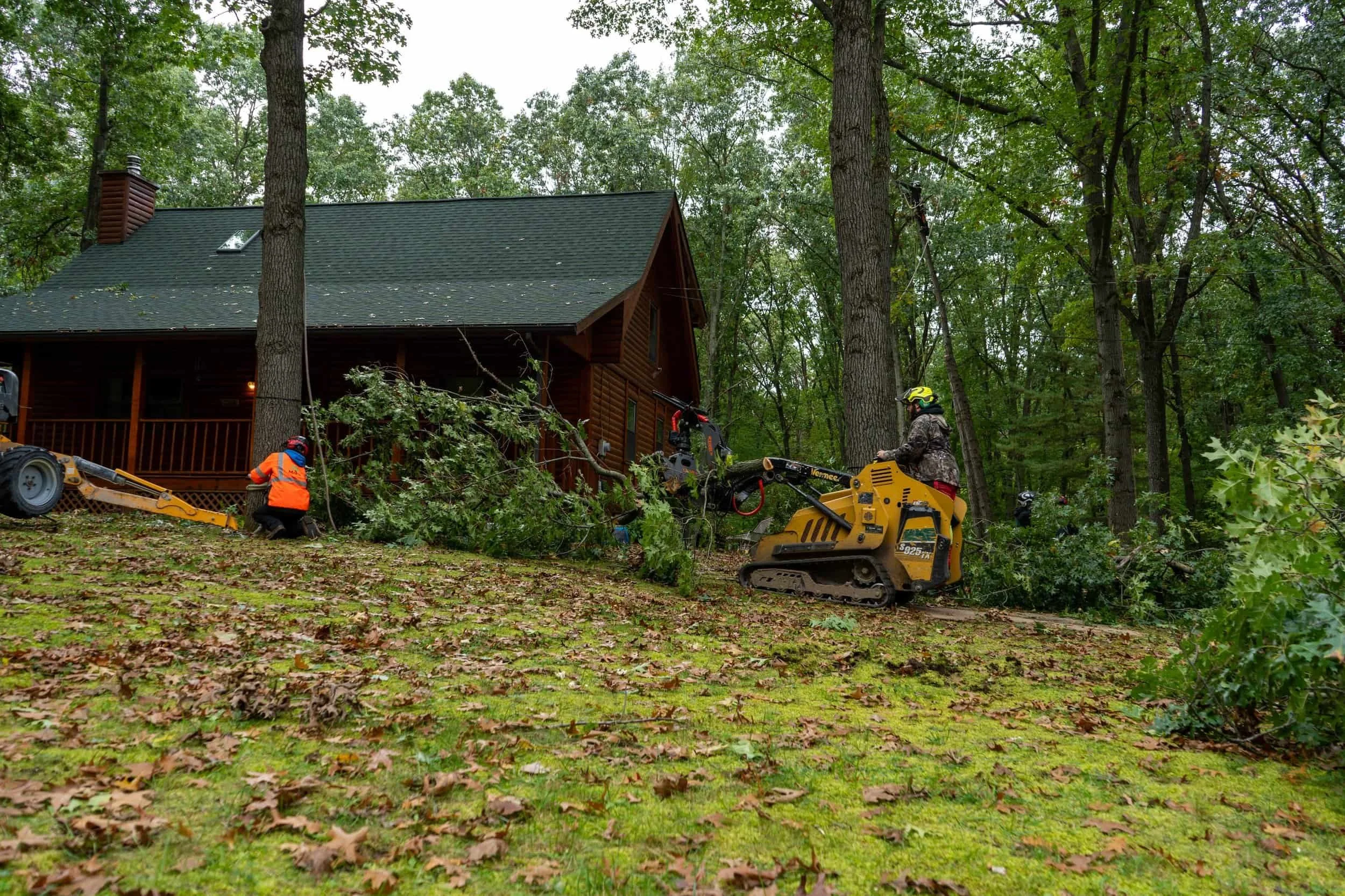 Martin Tree Trimming a large branch in form of a cabin