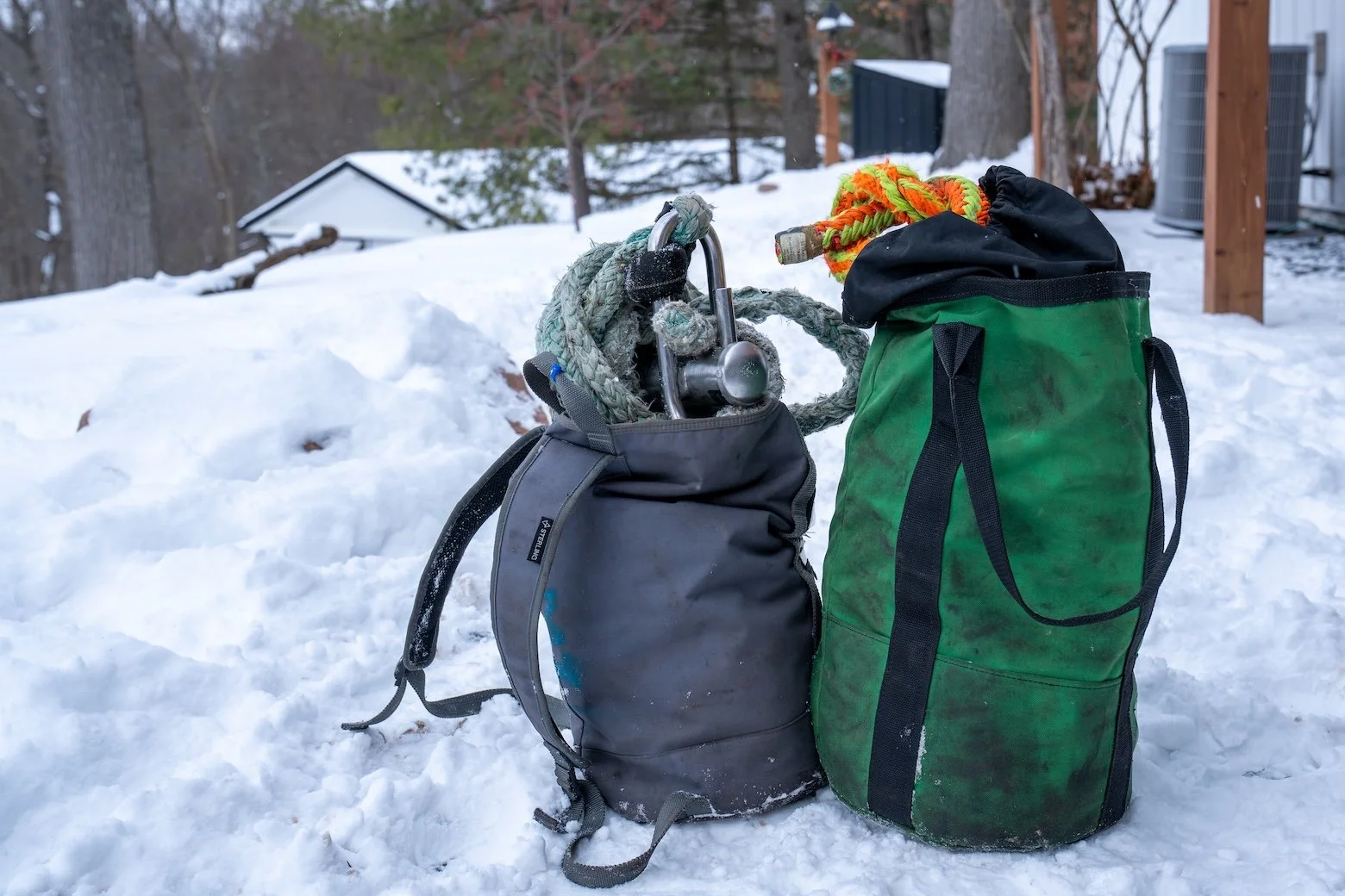A tree support system with cables and straps connecting two large tree trunks, helping to stabilize them.