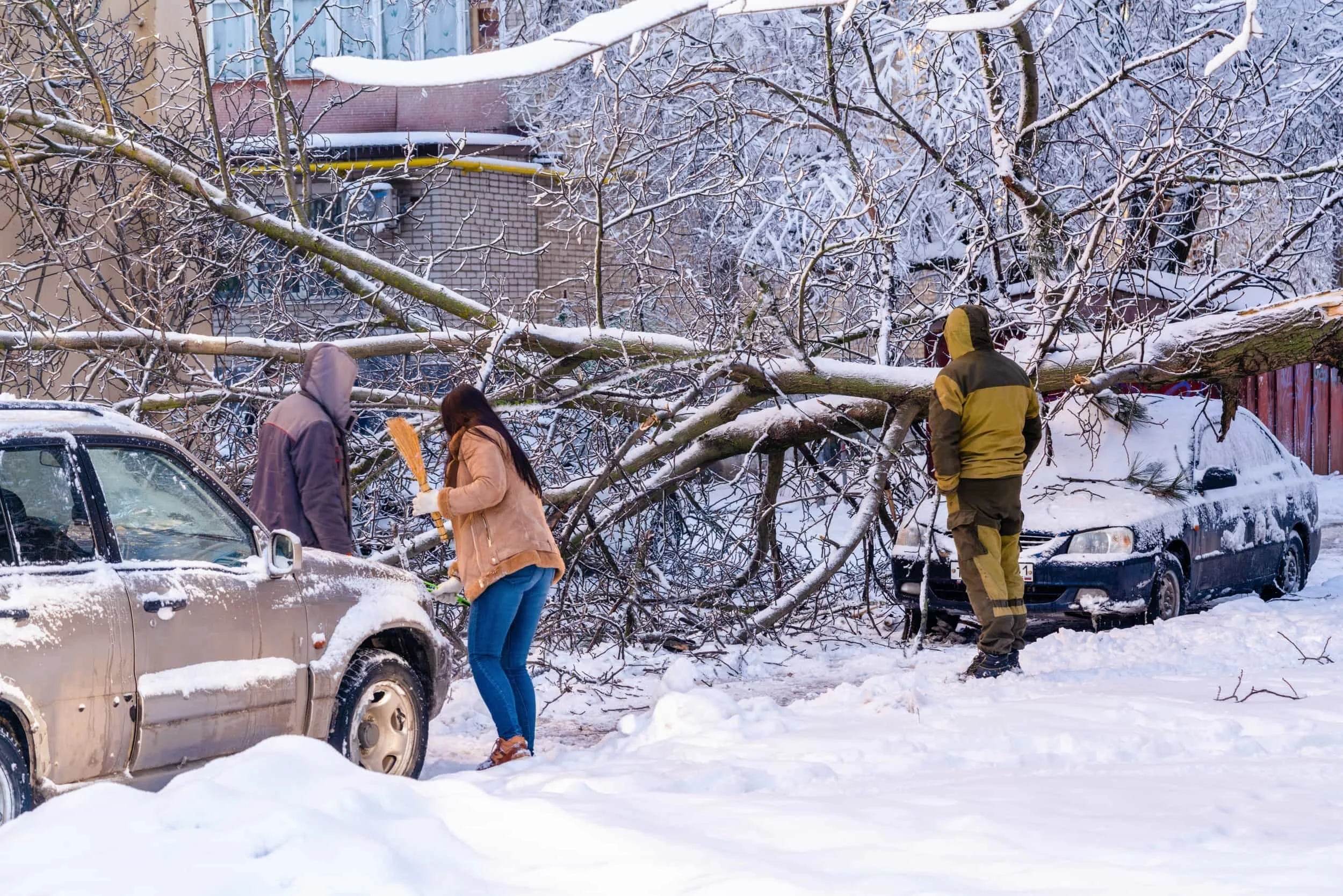 Three individuals looking at a tree that's fallen on a car in the snow