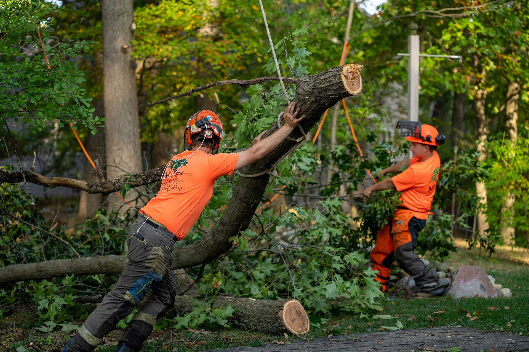 Martin Tree Service crew moving Storm Damaged Tree