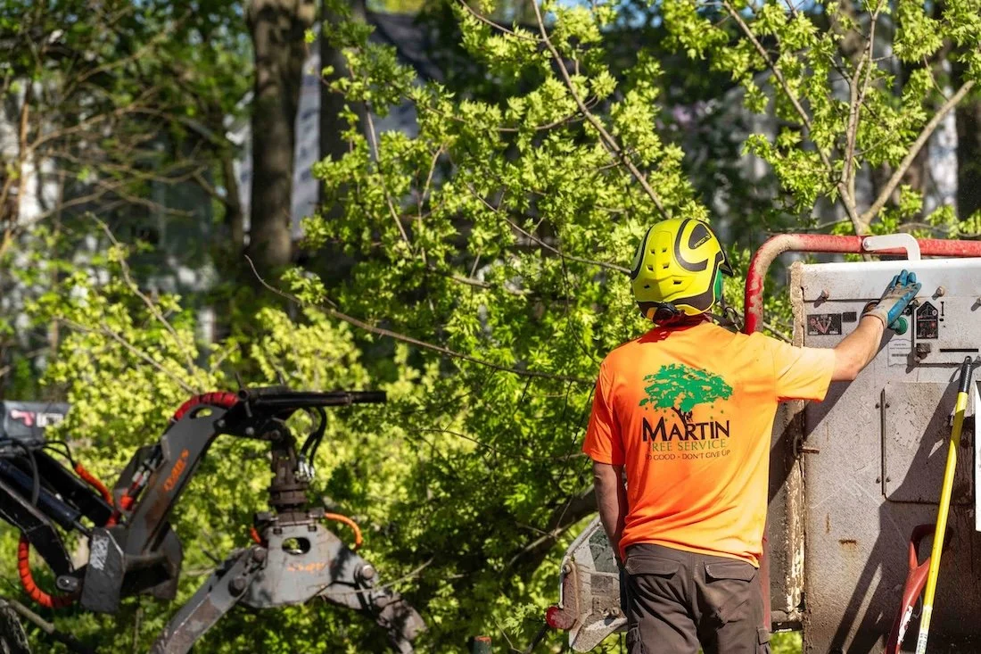 A person in a bright orange shirt and yellow helmet using tree service equipment near greenery.