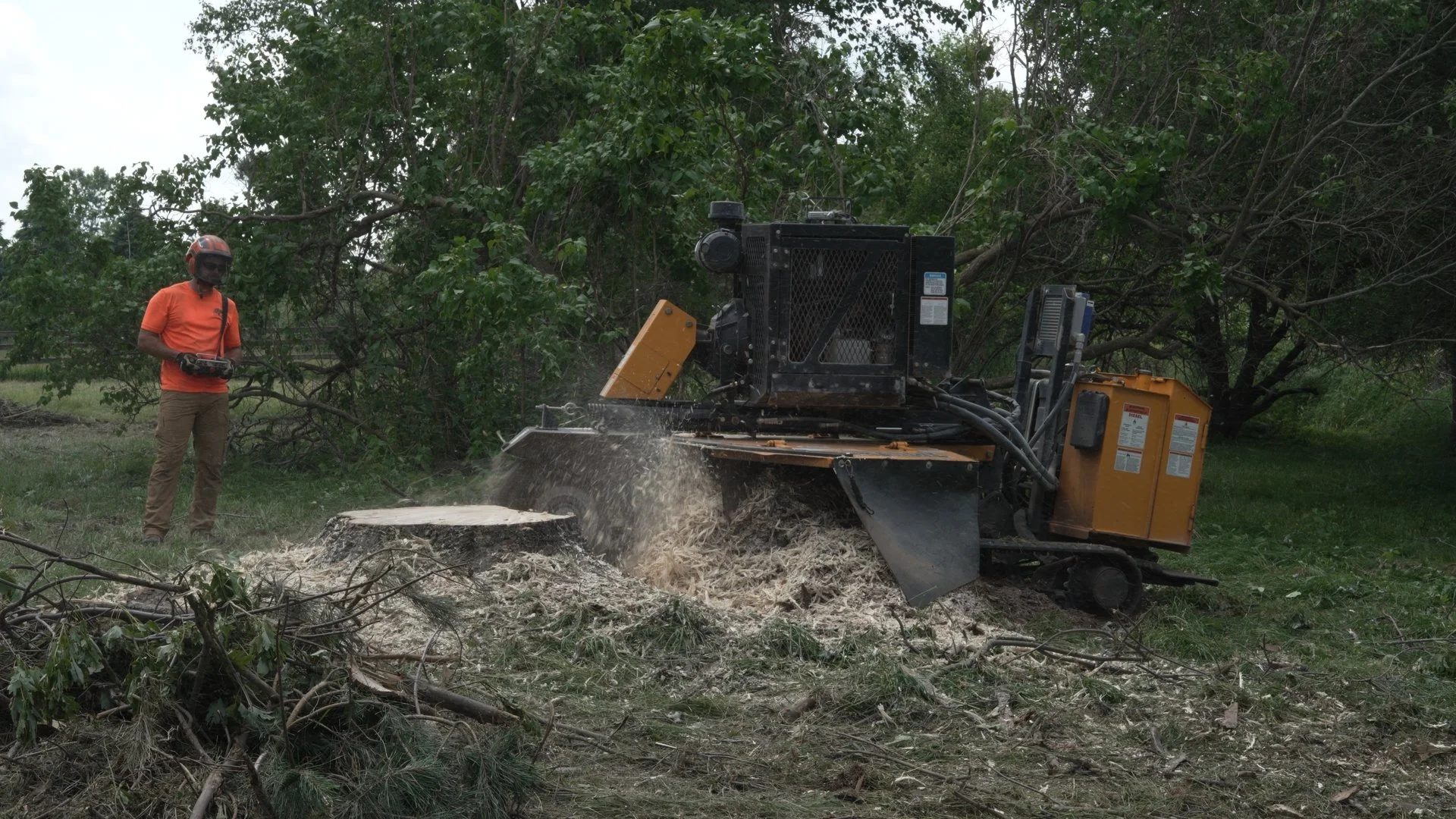 Stump grinder shredding a tree stump in a residential yard