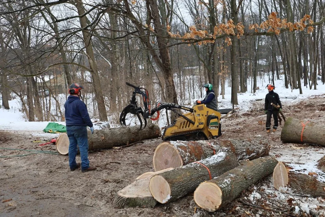 Three workers with helmets cut and move large logs in a snowy forest using a small skid steer loader.