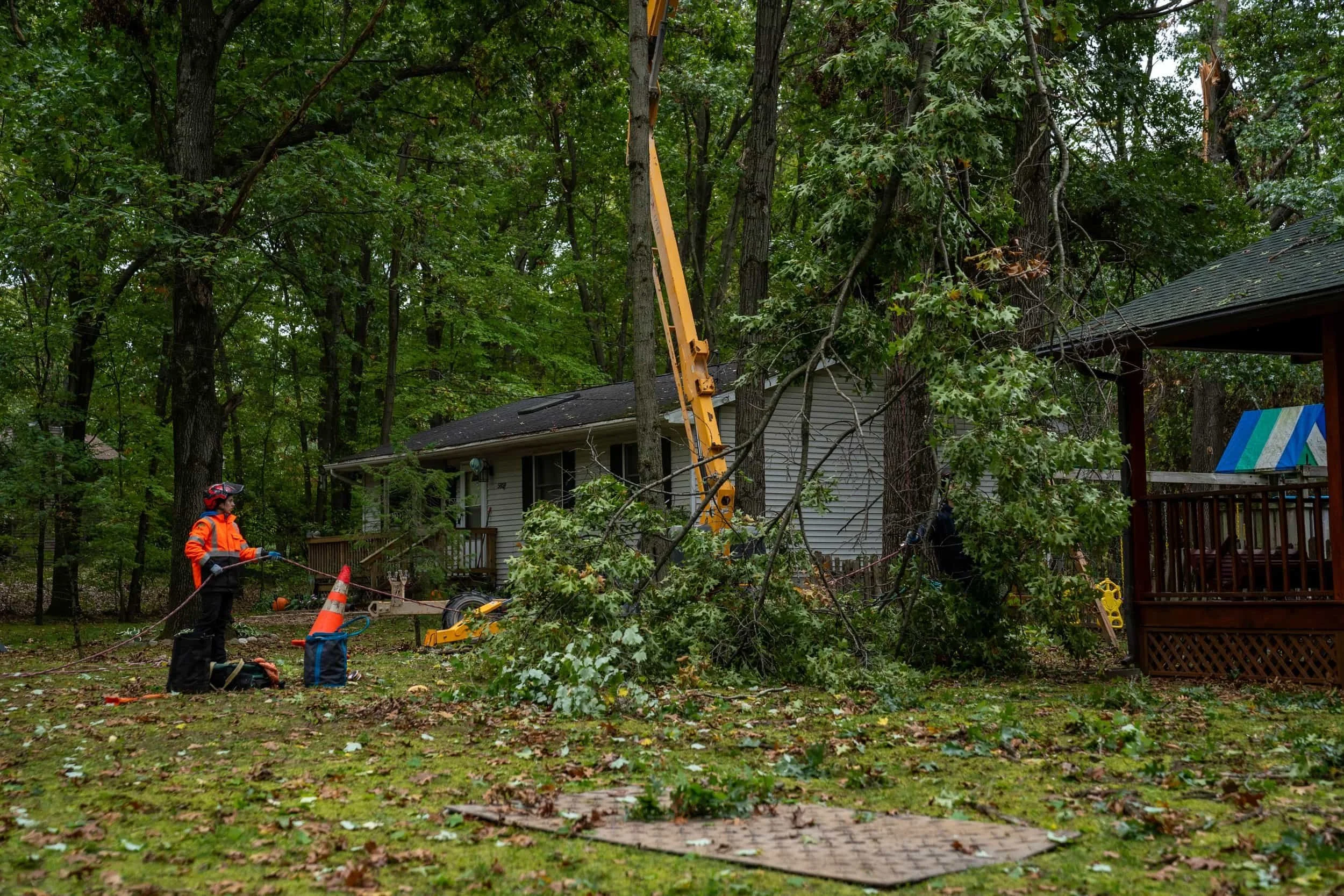 Tree trimmer in Safety gear trimming a large tree that's fallen.