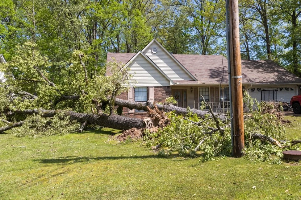 Storm Damaged Tree Cleanup Checklist for Homeowners - Martin Tree Services