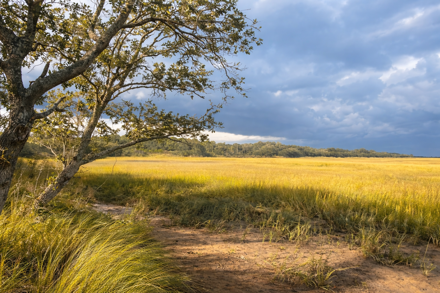 A landscape scene with a lone tree on the left, grassy fields stretching to the horizon, and a partly cloudy sky overhead.