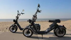 Drive electric scooters in bulb and flower fields or to the beach.