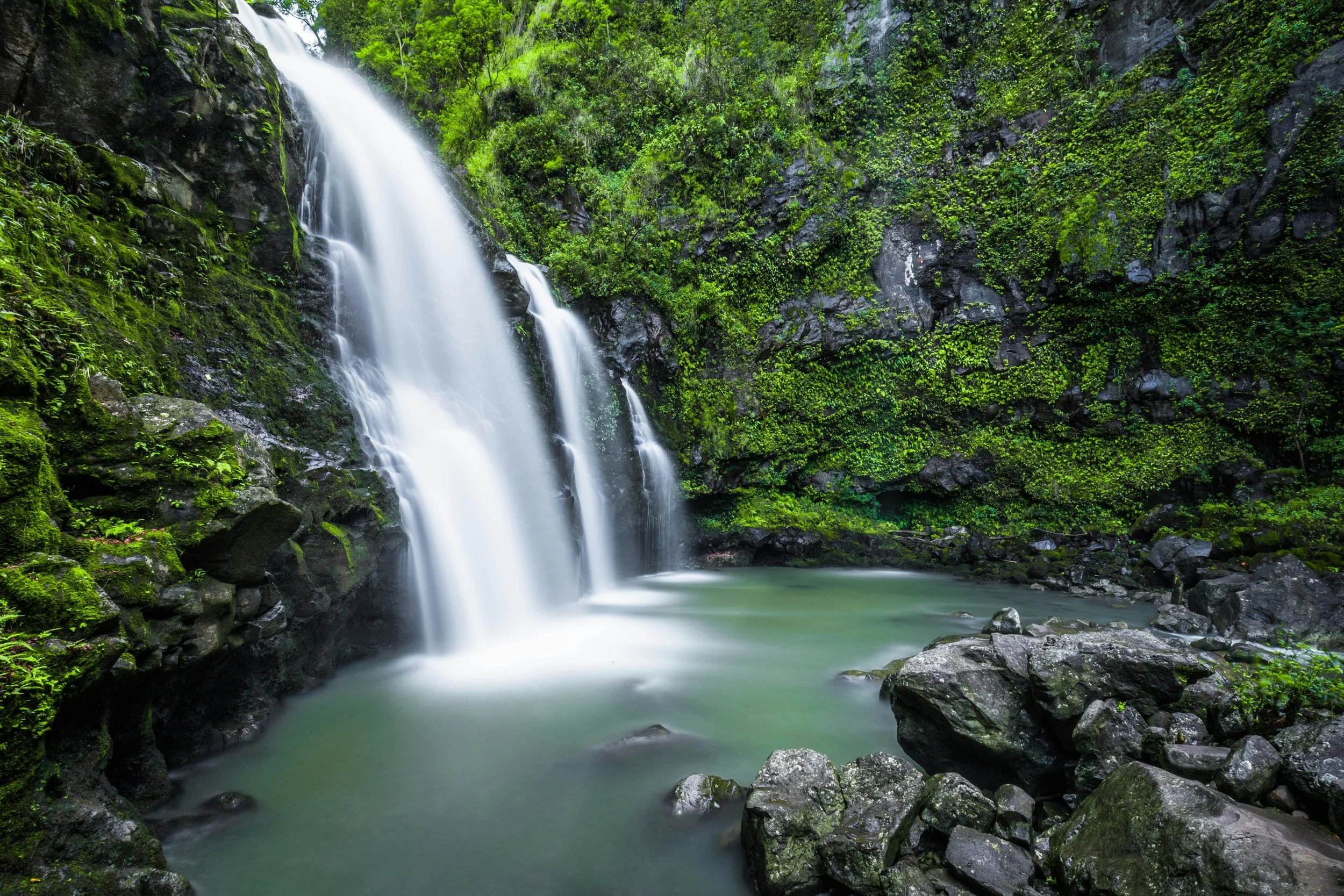 A cascading waterfall into a tranquil pool surrounded by lush green foliage and rocky terrain.