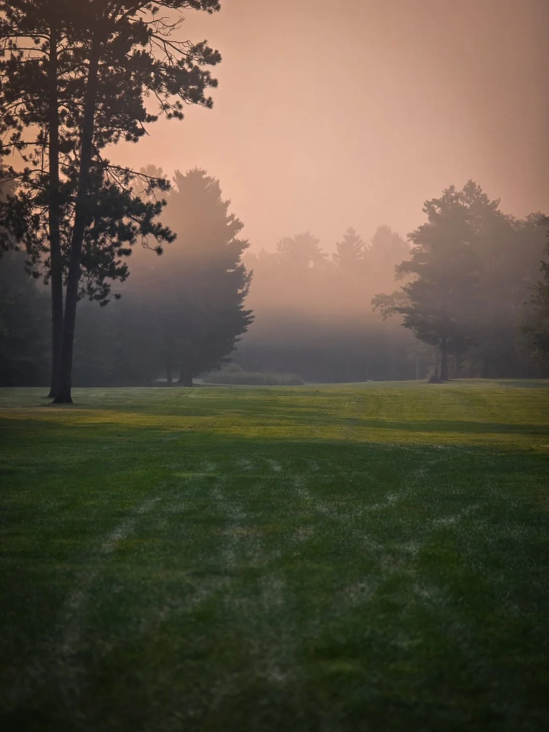 View from the back 9 ⛳️