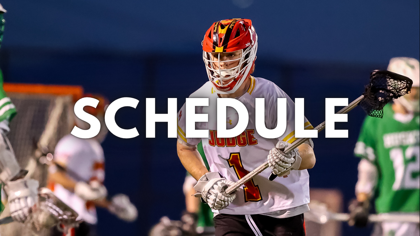 Hotels Business Website (9).png