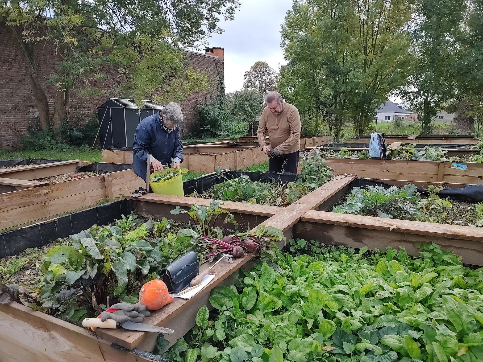 Potager communautaire du Béguinage