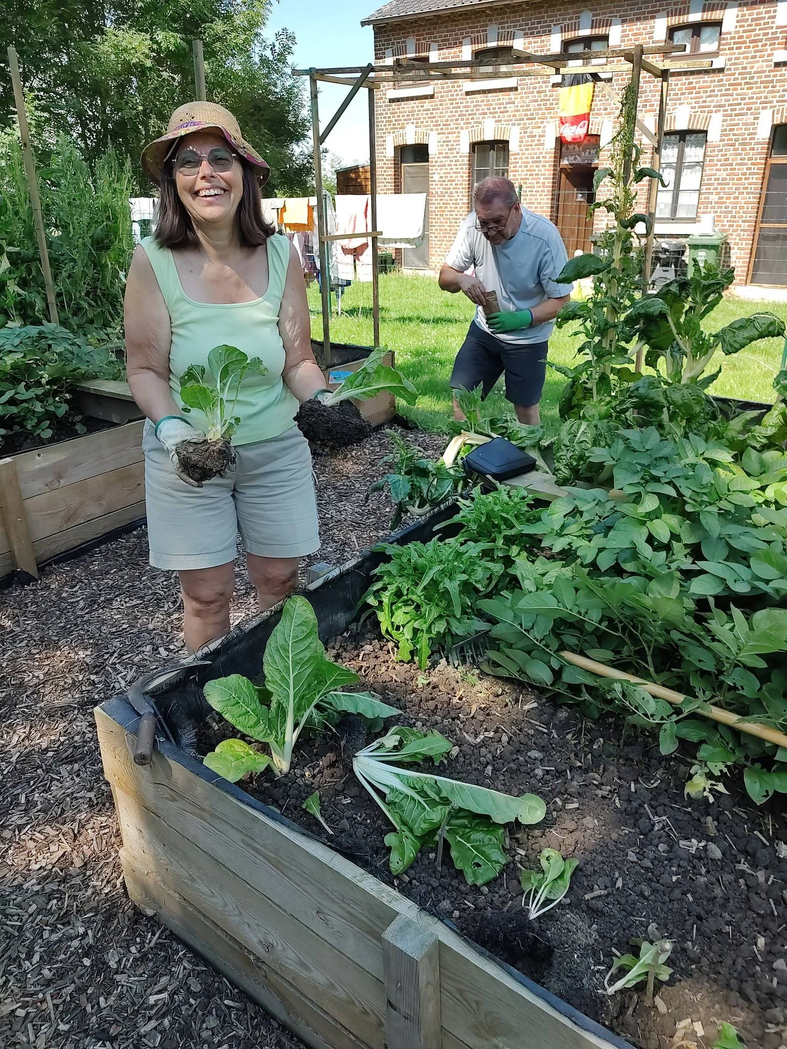 Potager au Beguinage