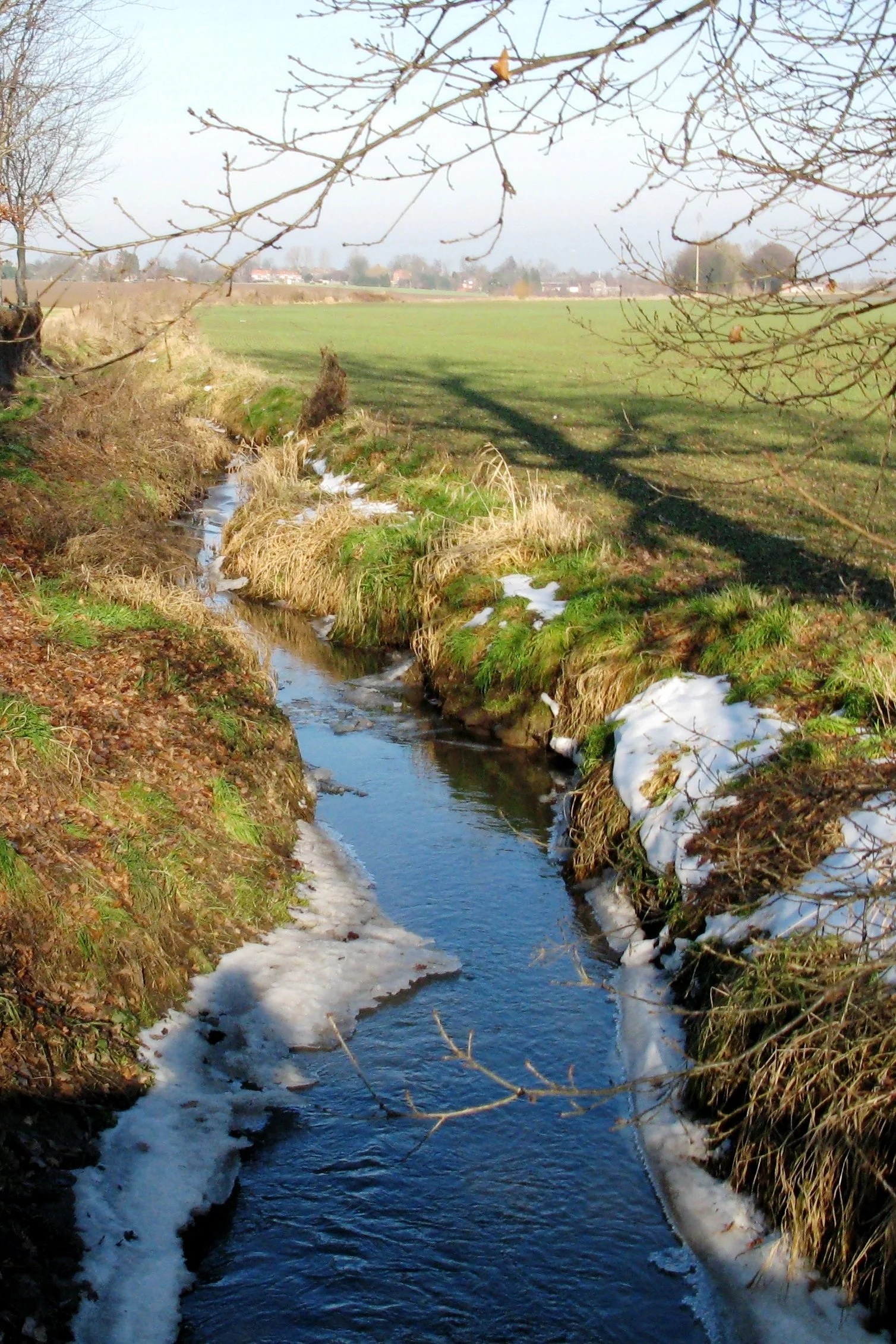 Ramassage de déchets aux abords de l'eau