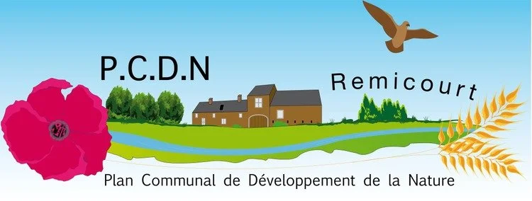 PCDN Remicourt