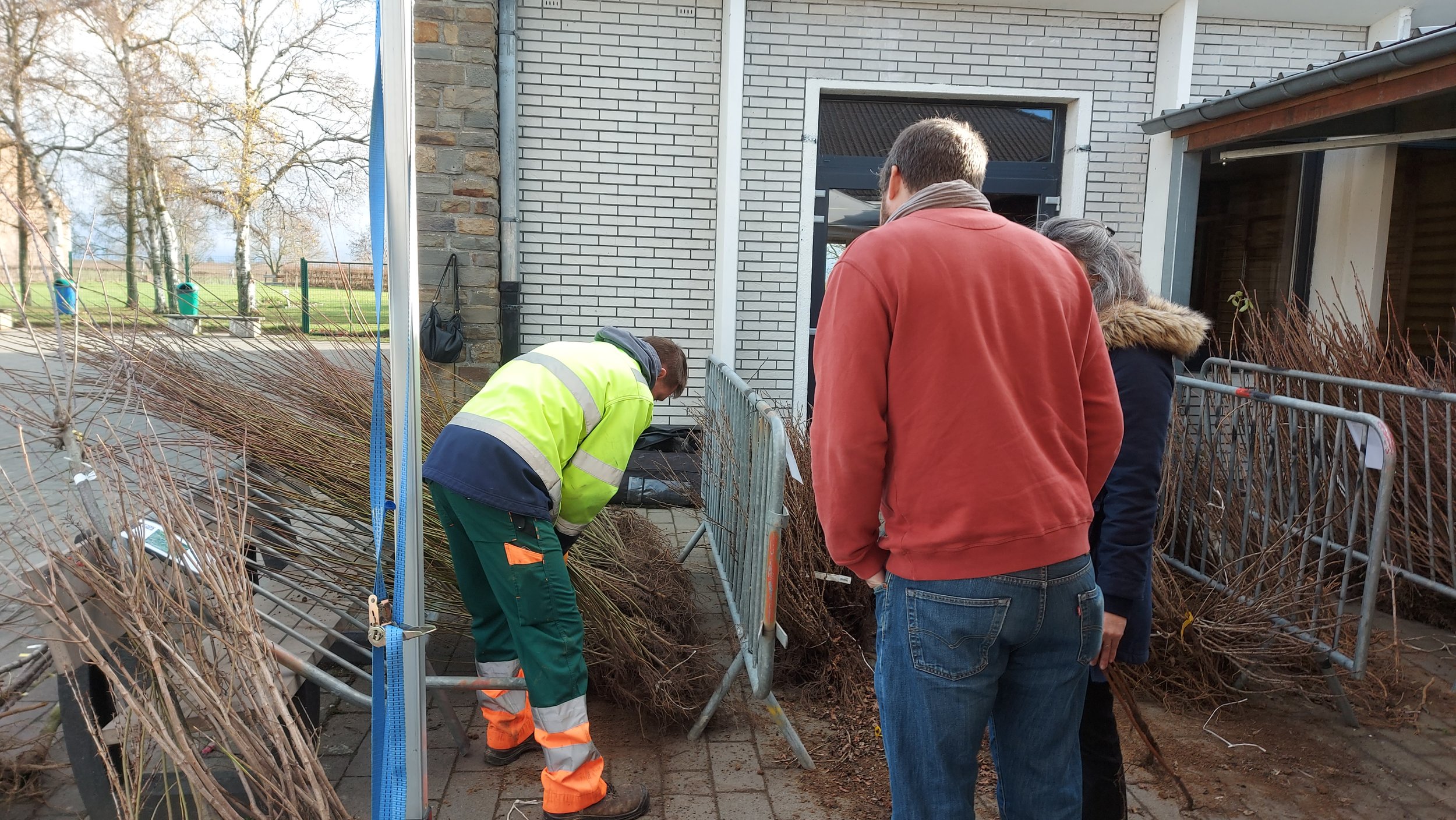 Distribution d'arbres fruitiers par un ouvrier communal