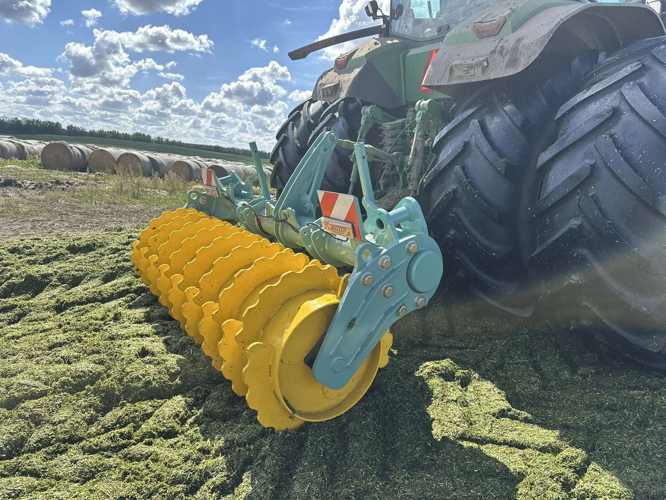 IMG_6402 (1) (1).jpg