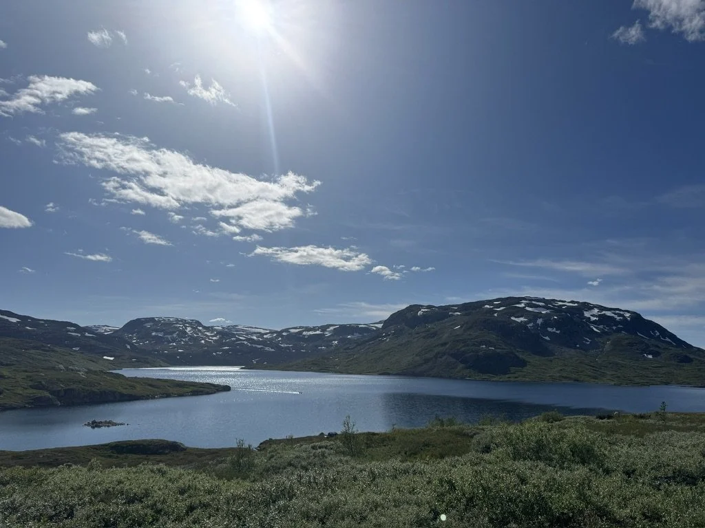 Fjord junction