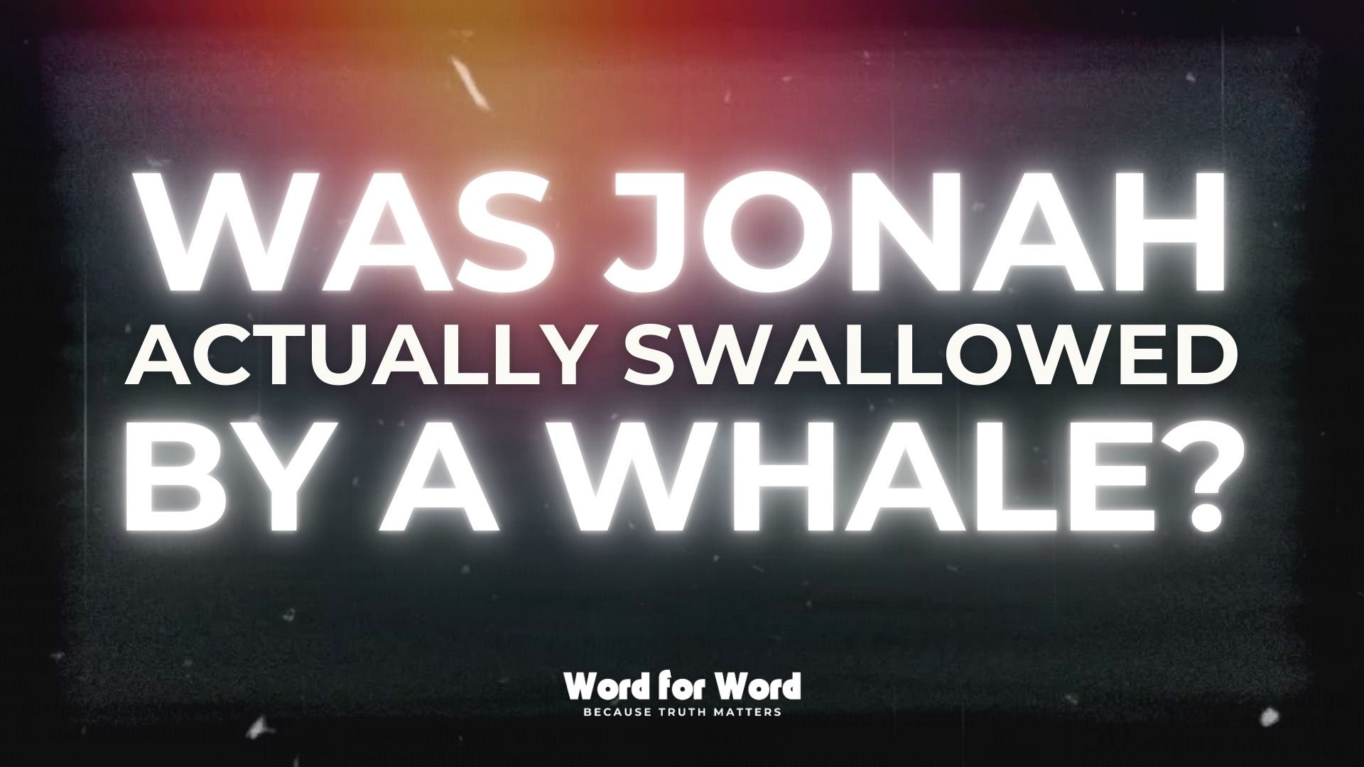 Was Jonah swallowed by a whale?