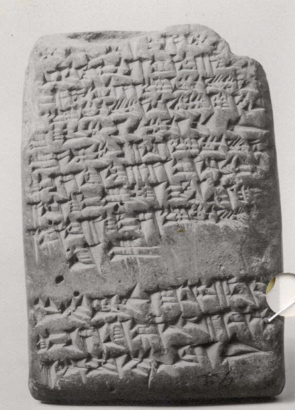 A black and white image of a cuneiform tablet of an adoption declaration.