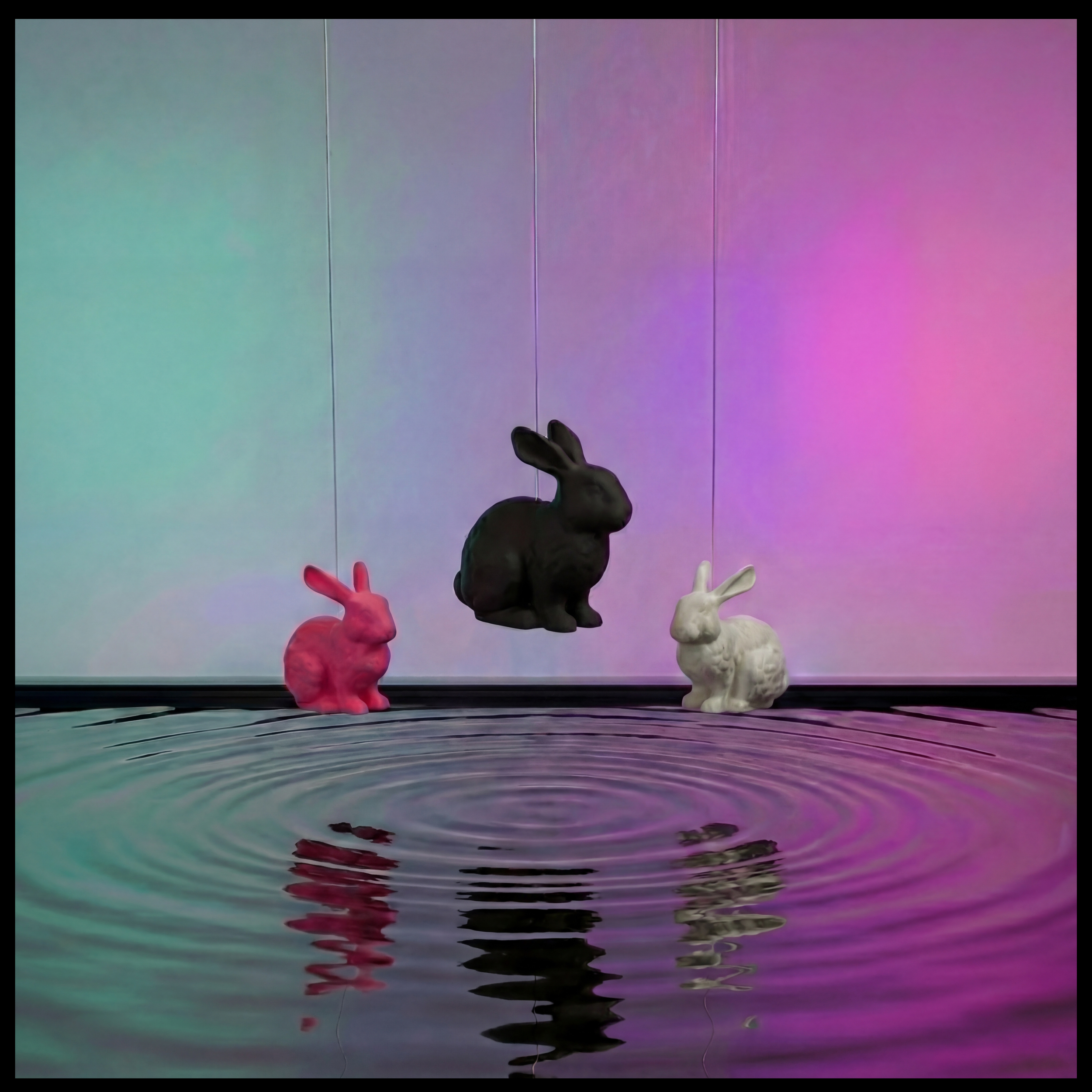 Rovu - Deko Hasen Bundle