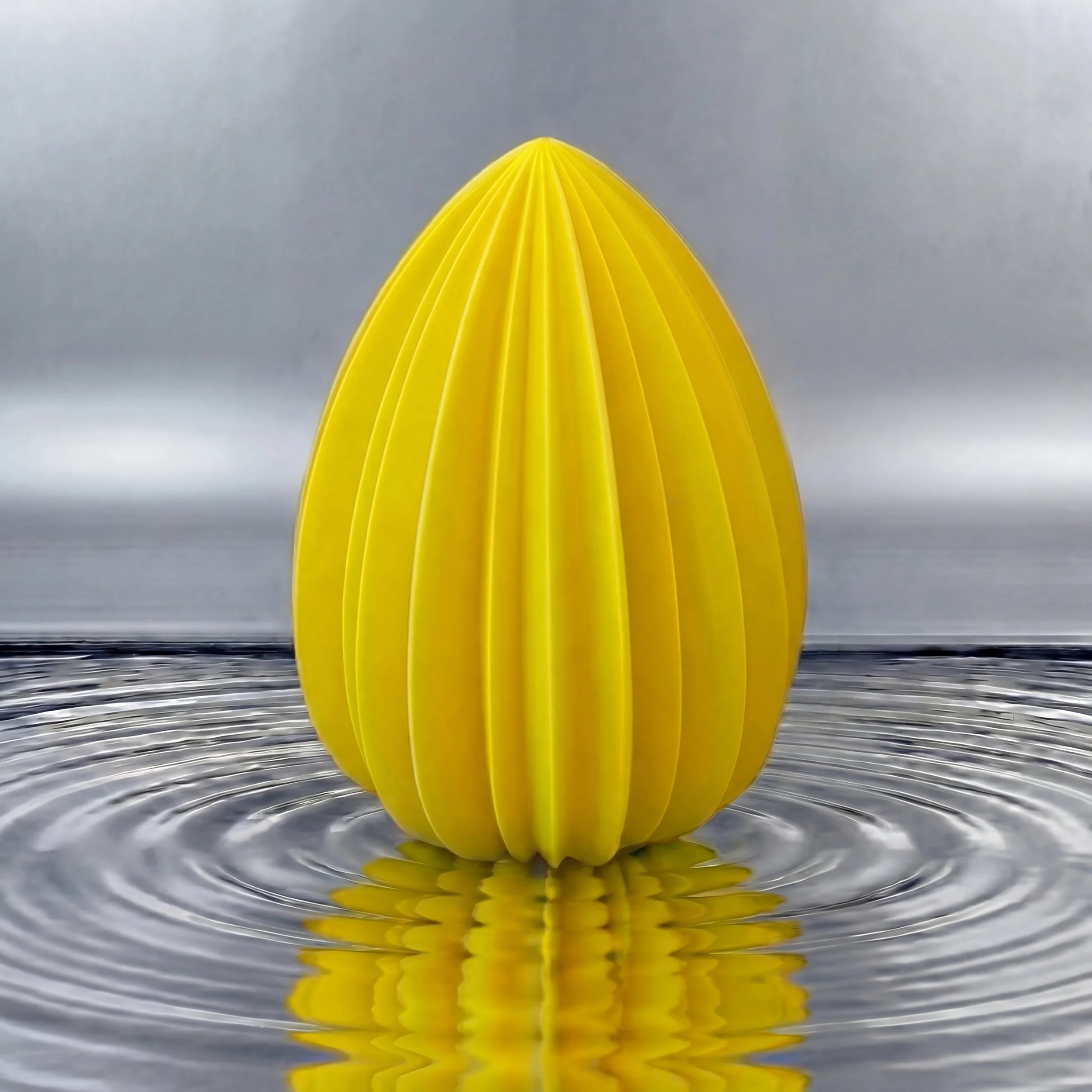 Generated Image January 19, 2026 - 3_40PM.jpeg