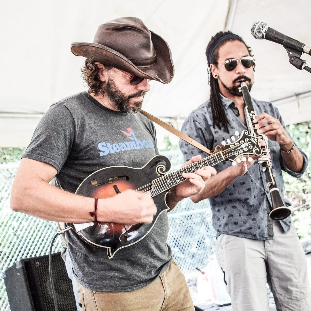 JAMIE LESTER | Discover Art & Music Today