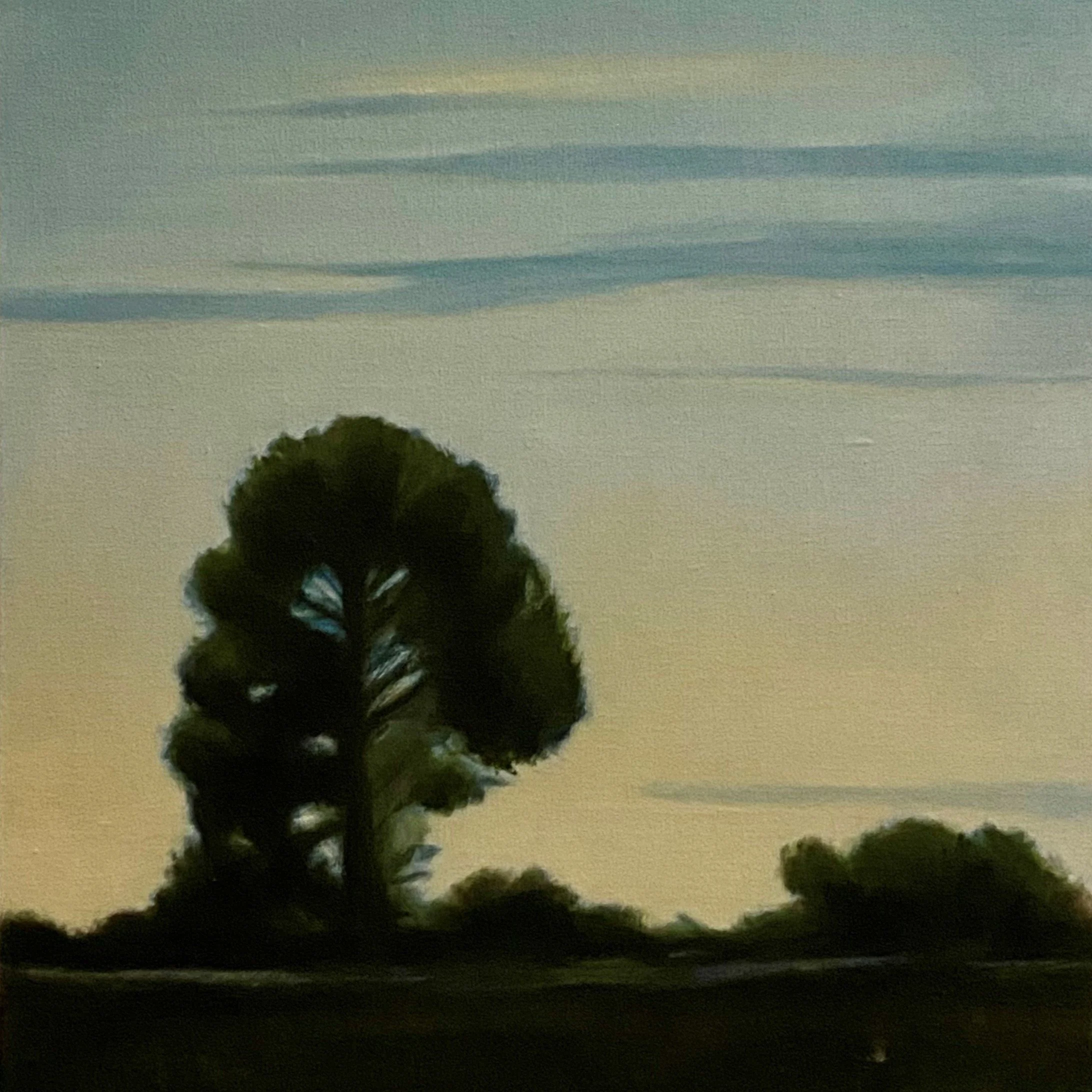 DUSK 40 x 50.jpg
