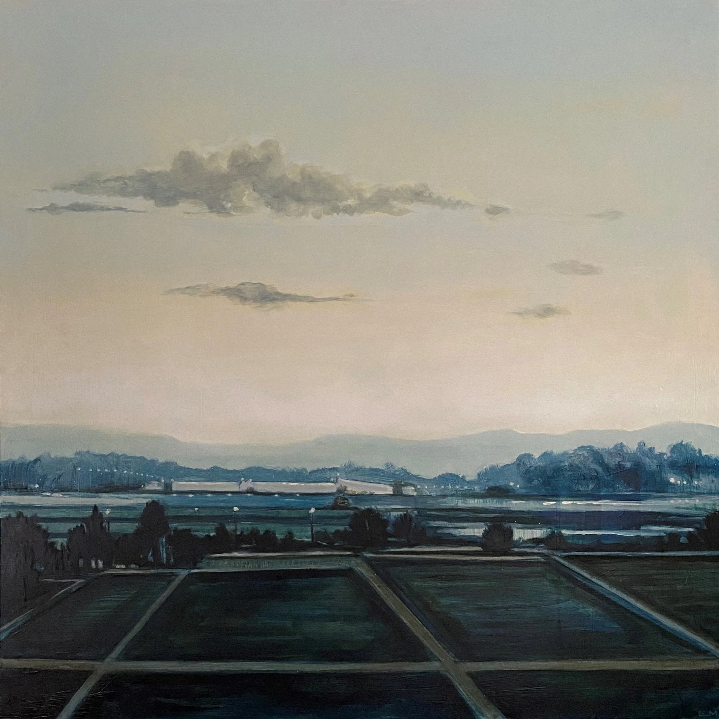 HARD TO HIDE. 1010 X 1010.jpg