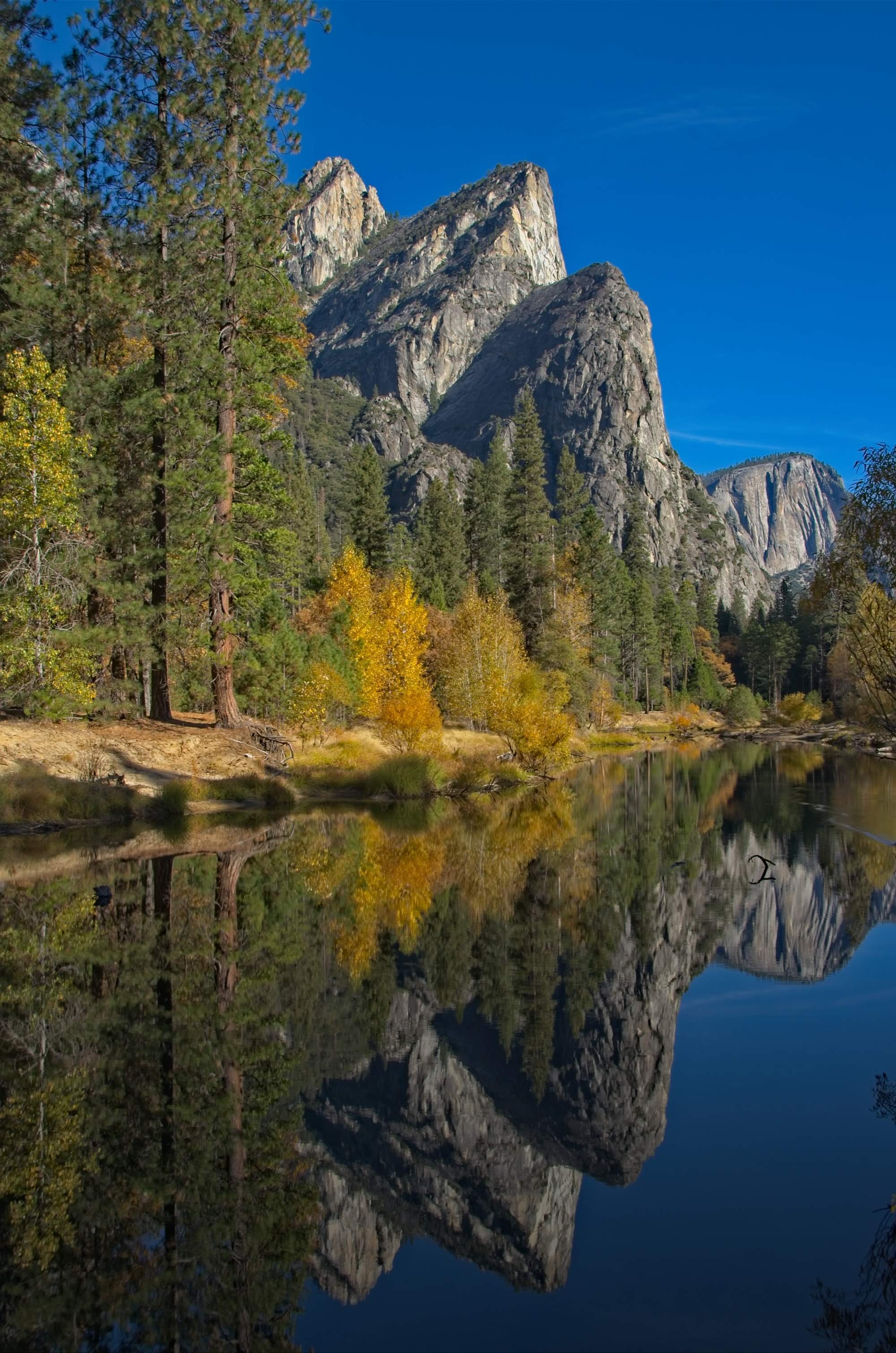 Yosemite National Park