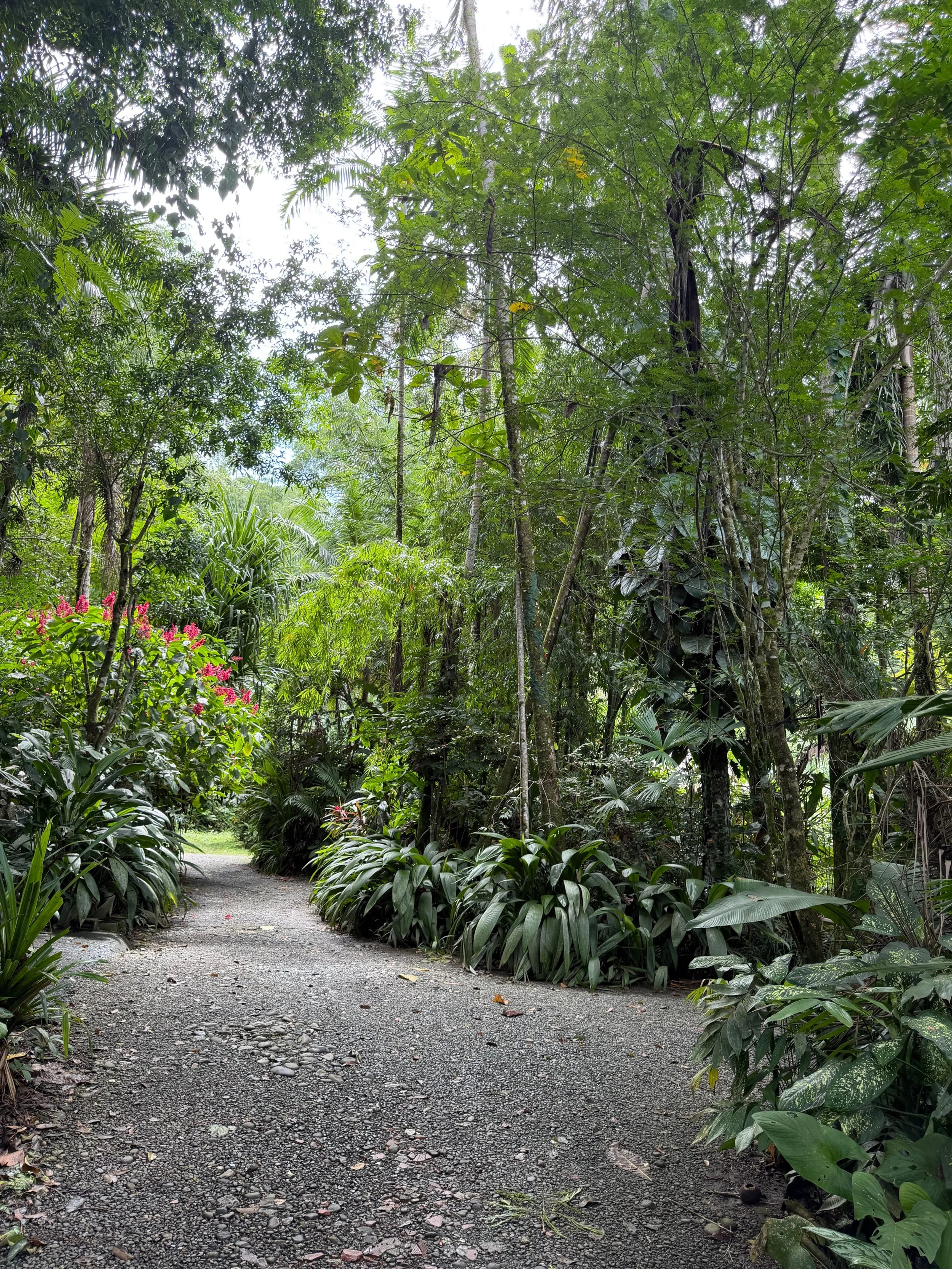 Slowing Down Is Not Falling Behind