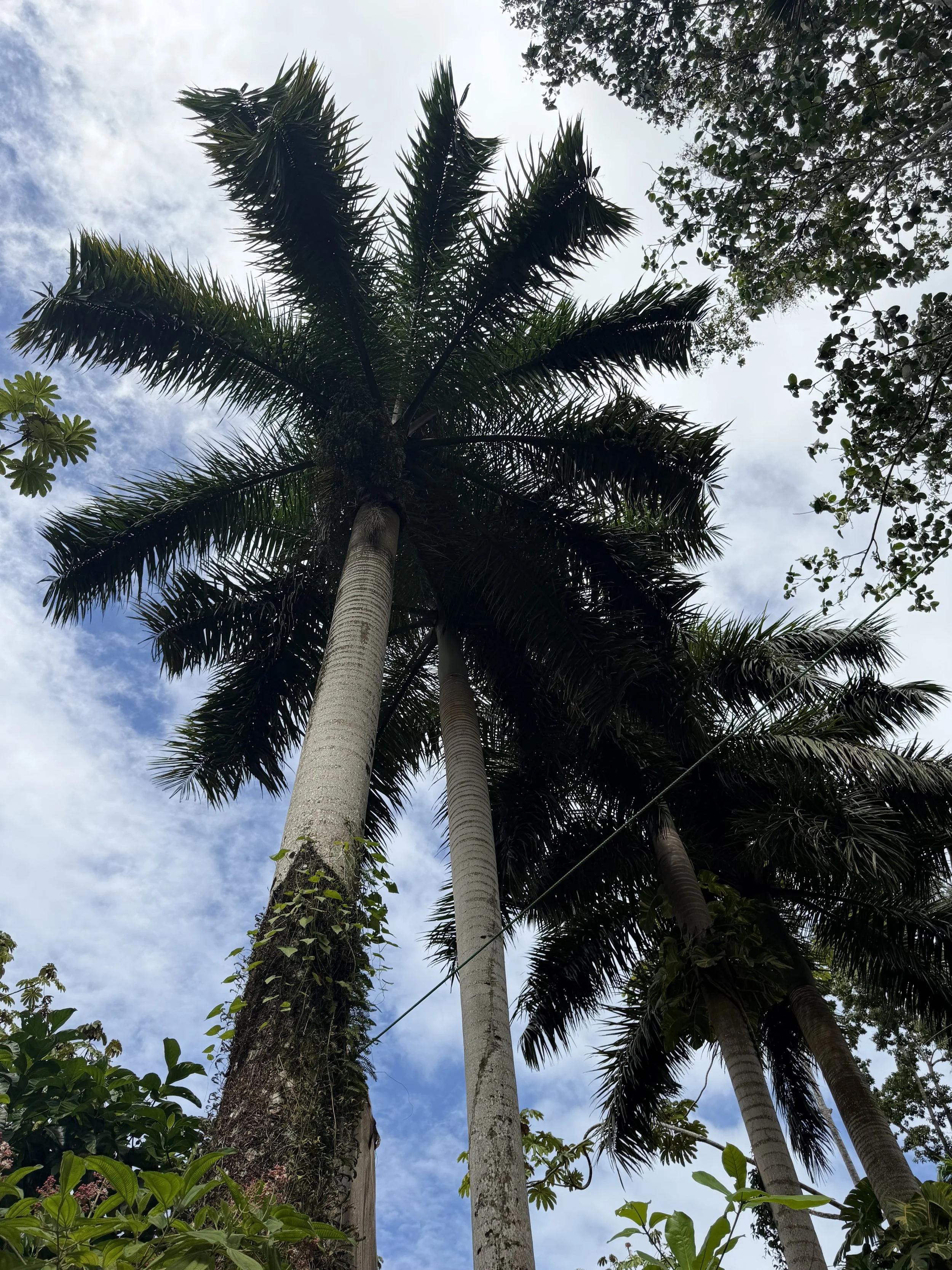Private Queen Bedroom (Shared)