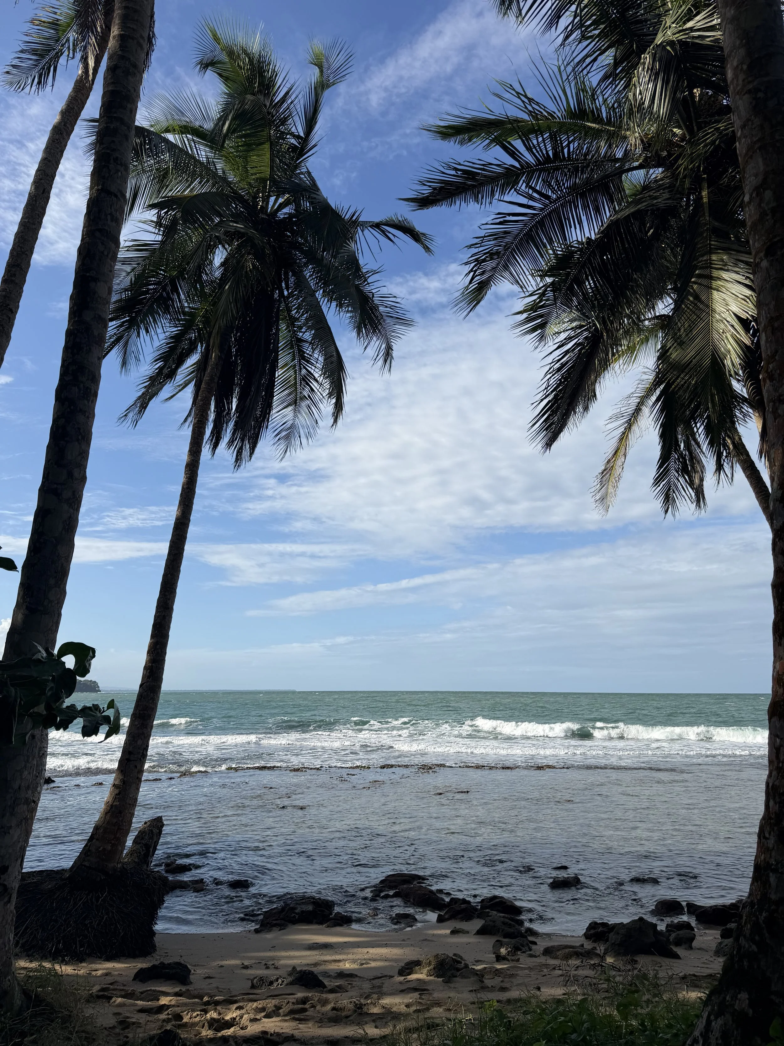 Shared Bunk Bed Room