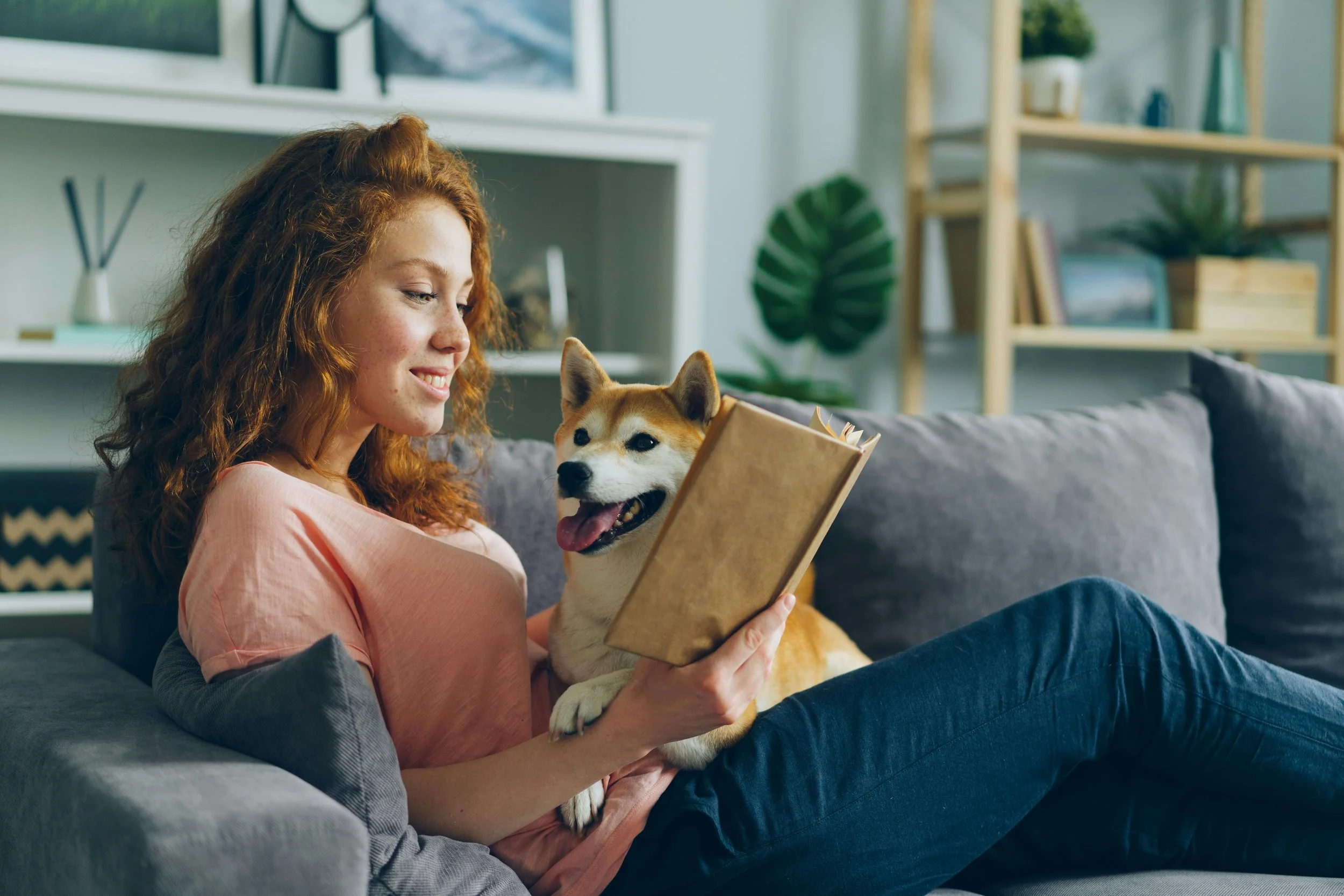 Woman relaxing on a couch with her Shiba Inu dog, reading a book in a cozy living room.