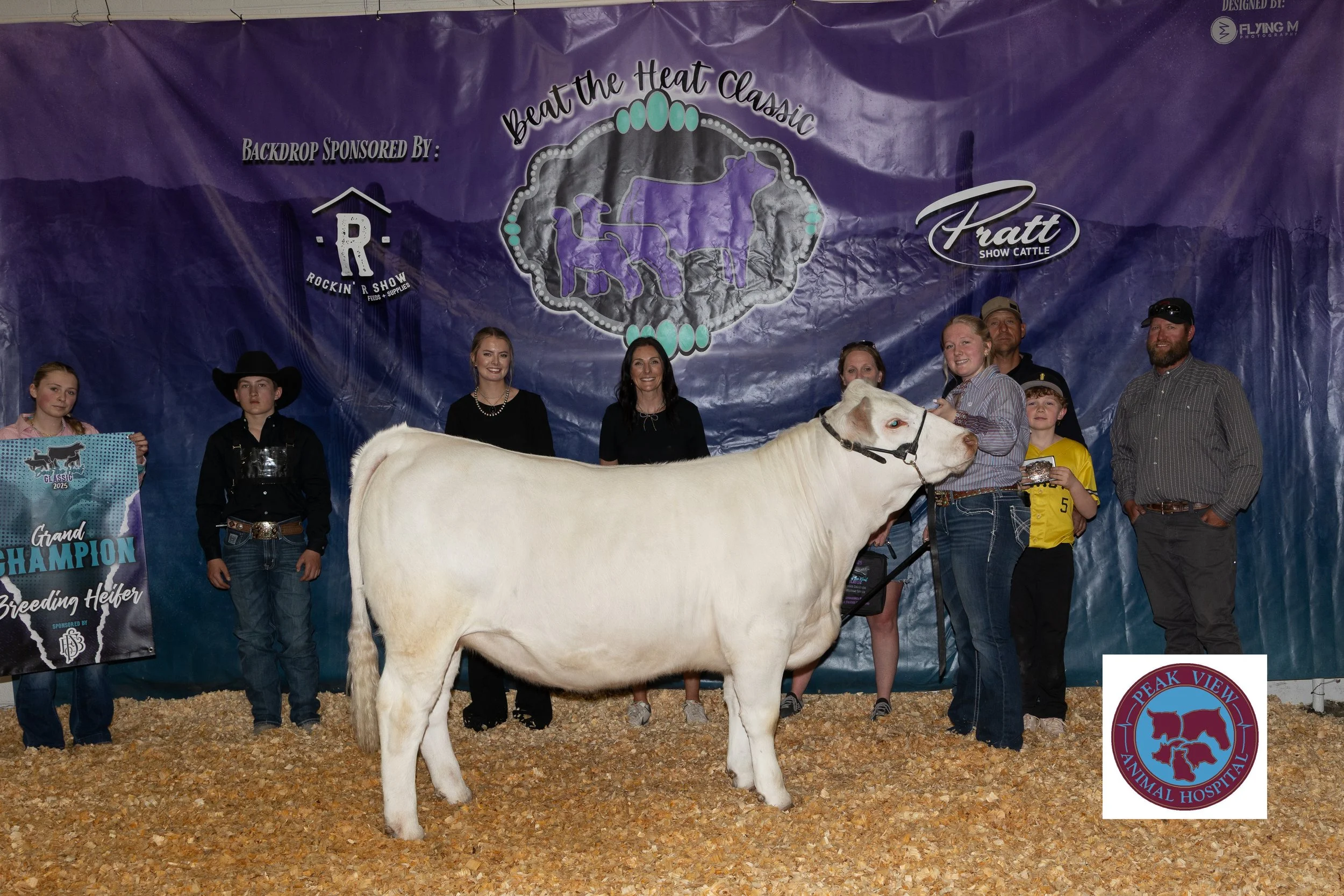 2025 Grand Champion Breeding Heifer 