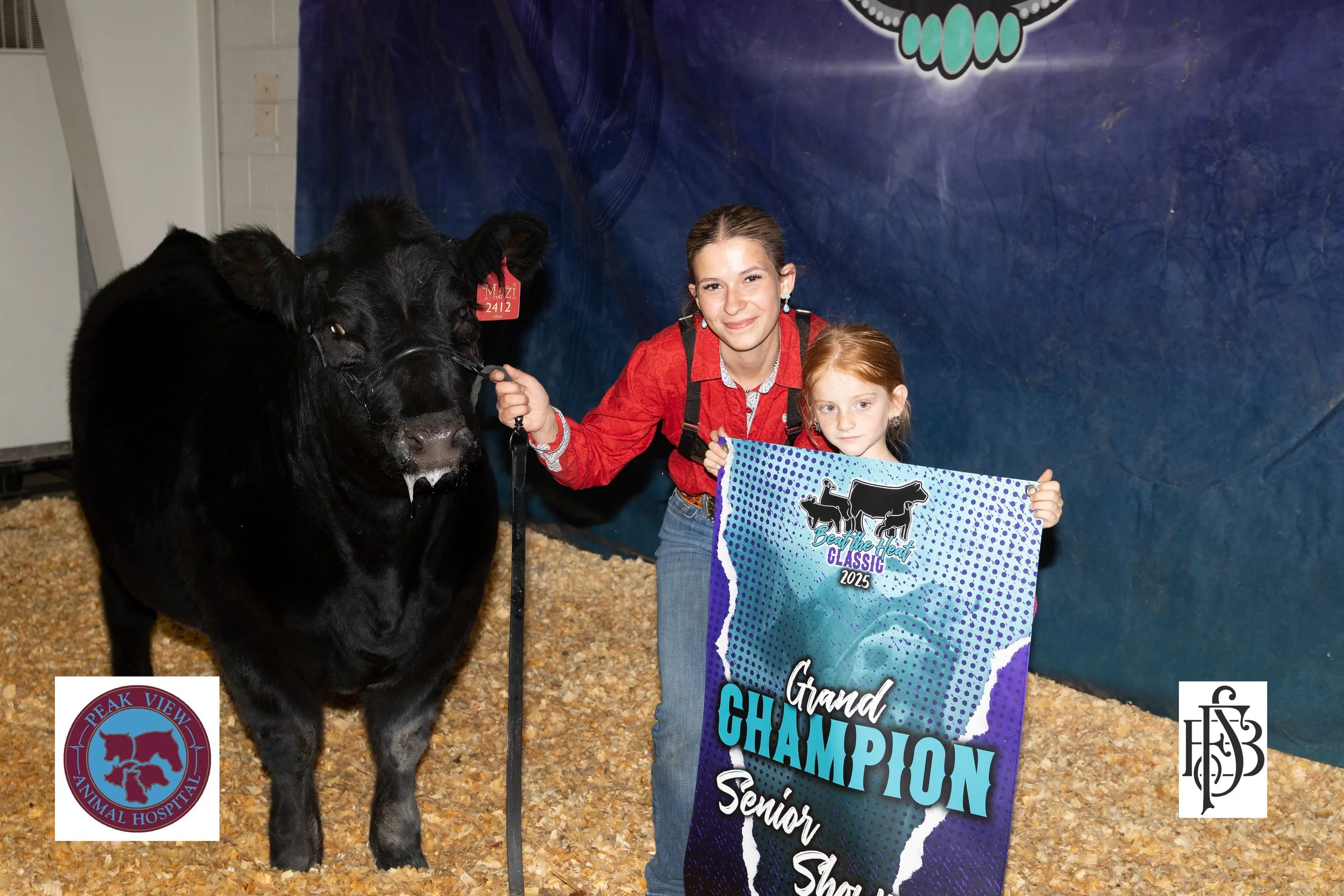 2025 Grand Champion Senior Showman 