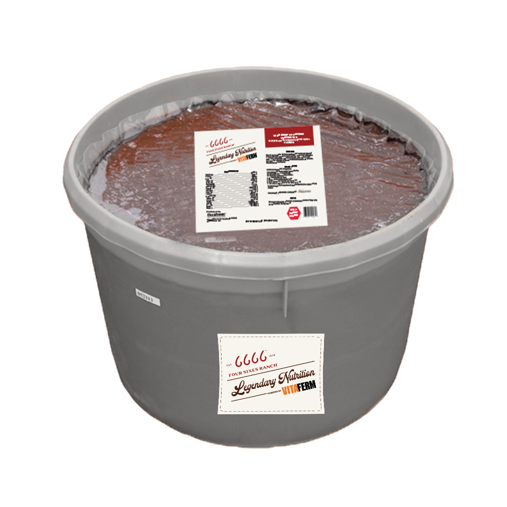 VitaFerm Four Sixes X Protein Tub