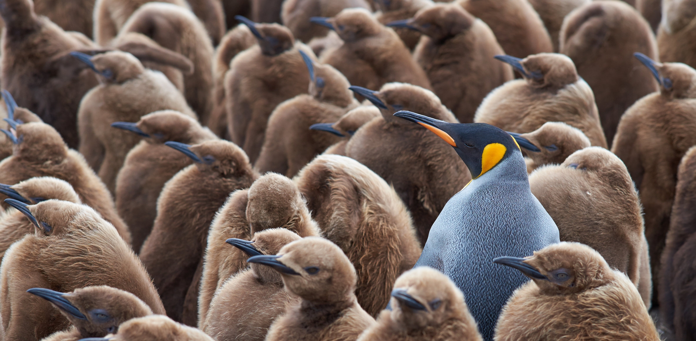 Selling and Being Differentiated